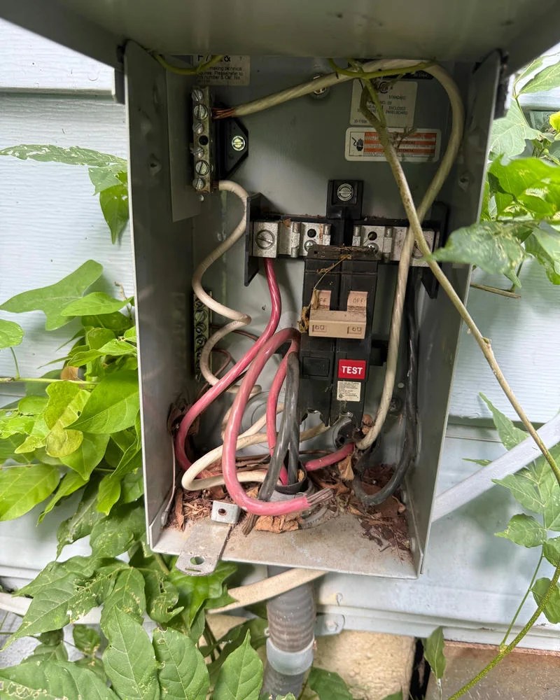 An open electrical panel box with wires and a circuit breaker, with green leaves growing around the box.